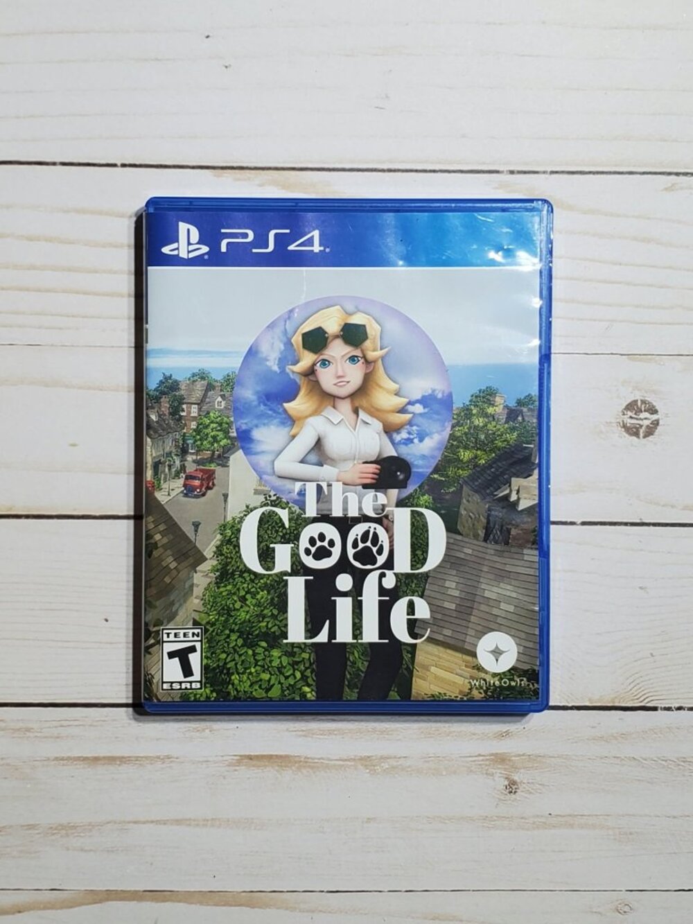 PS4 The Good Life PlayStation 4